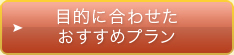 目的に合わせたおすすめプラン