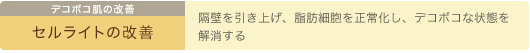 デコボコ肌の改善　セルライトの改善　隔壁を引き上げ、脂肪細胞を正常化し、デコボコな状態を解消する