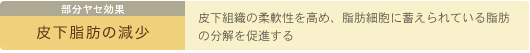 部分ヤセ効果　皮下脂肪の減少　皮下組織の柔軟性を高め、脂肪細胞に蓄えられている脂肪の分解を促進する