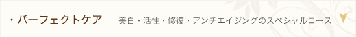 パーフェクトケア